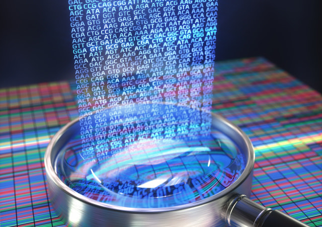 ゲノム解析,ATAC,illumina,NGS,WES,全エキソーム,DNAメチル化,解析,分析,受託,１細胞,single-cell,CpG,CAREN,CNV